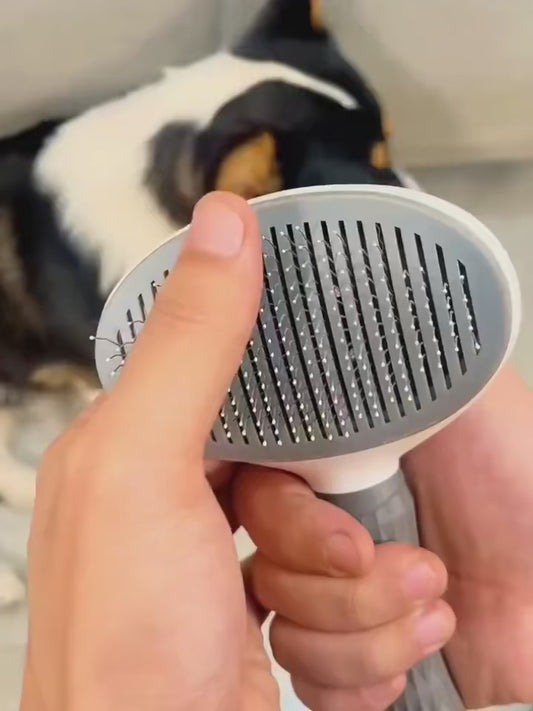 Self-Cleaning Pet Brush